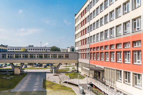 九游娱乐(jiuyou)官网-中国篮球职业联赛俱乐部青训体系建设与实践探索,篮球青年训练营