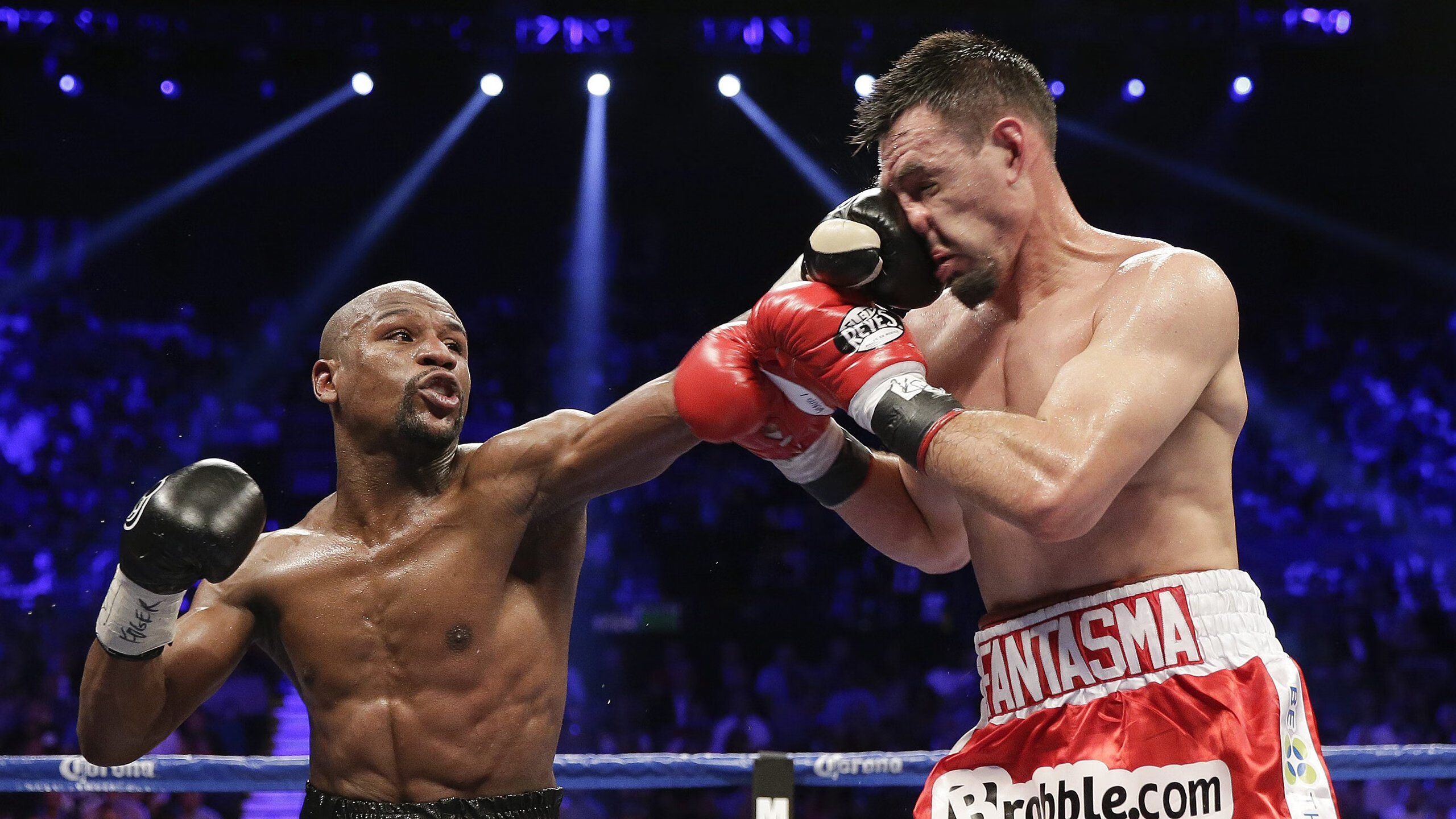 _骑士核心再度爆发，未来可期_，骑士wa